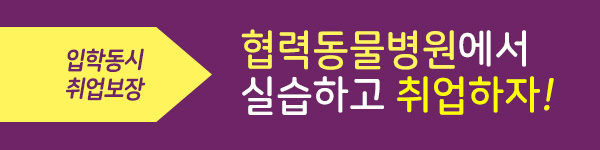 동물간호복지학과 입학과 동시에 취업보장