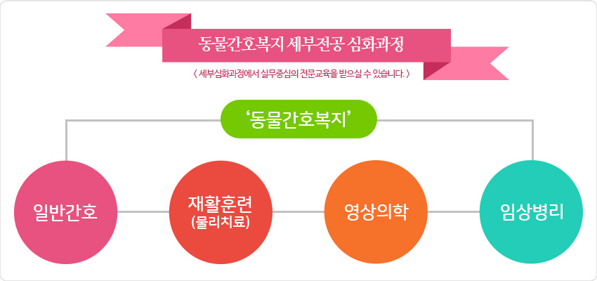 동물간호복지사학과의 세부심화과정