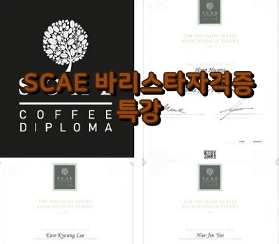 서울연희실용전문학교 전문대학교 학위취득과정 SCAE 바리스타자격증 특강 실시 140