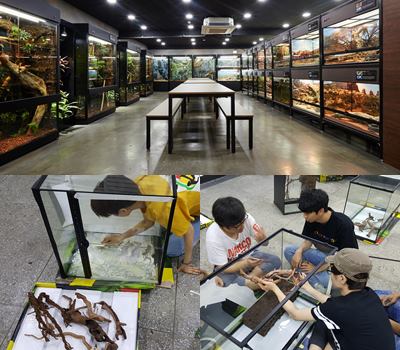 서울연희실용전문학교 전문대학교 학위취득과정 특수동물사육사라면 실내사육상 비바리움 만들기는 기본이죠 199