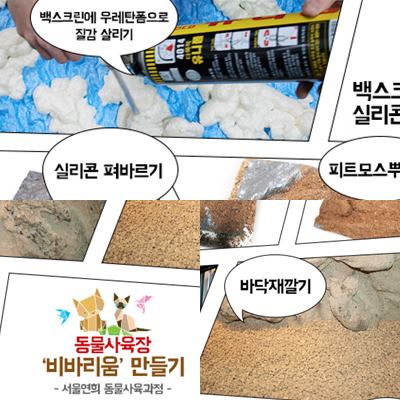 서울연희실용전문학교 전문대학교 학위취득과정 특수동물사육사, 동물사육장 비바리움을 만들때 사용되는 재료를 알아봤어요 204