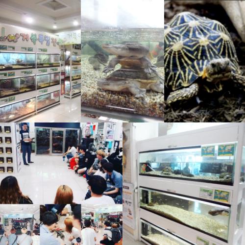 특수동물학과 한국생명과학박물관(한생연) 탐방